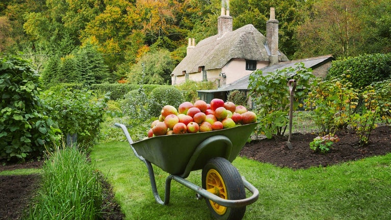 Hardy's Cottage in Autumn